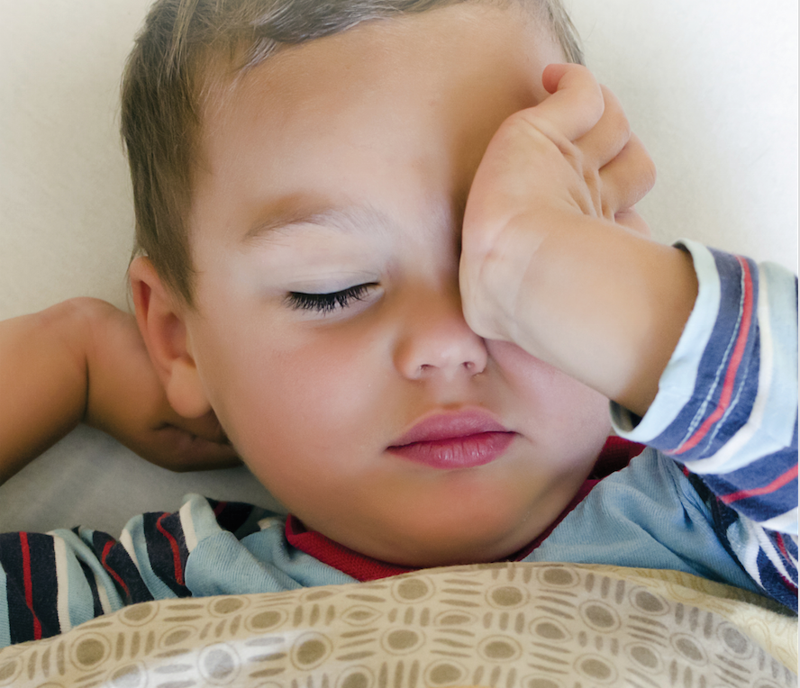 Toddler Sleep Rehab