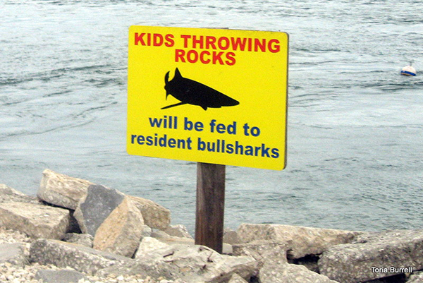 15 Establishments that will Dispose of your Children if You are Sick of ...