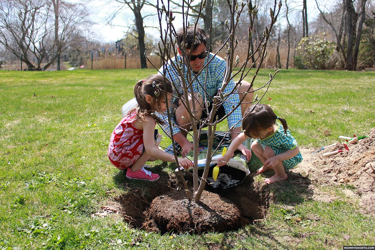 Planting a Tree to Grow Up with My Girls